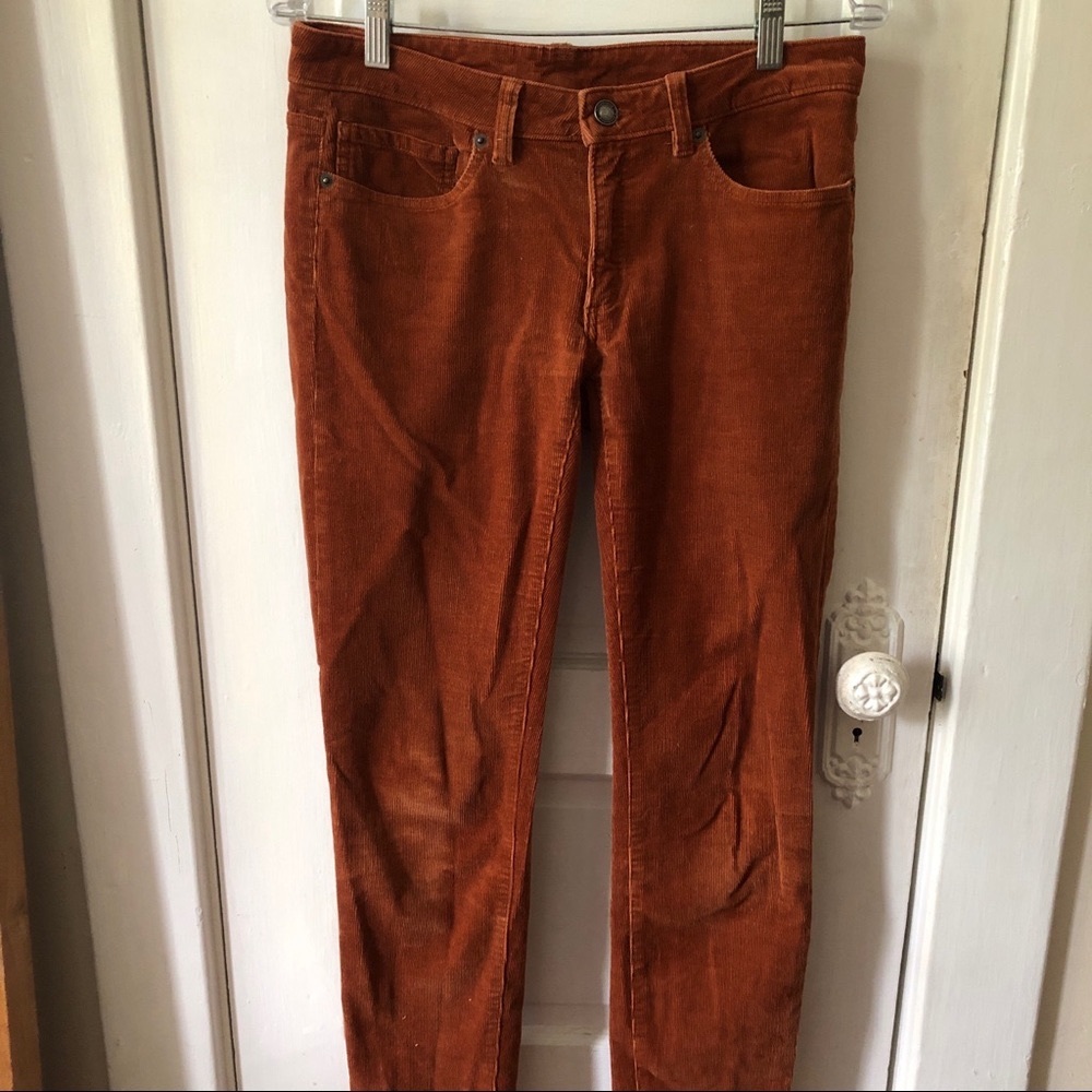 Orange Patagonia Cords